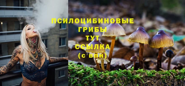 индика Строитель