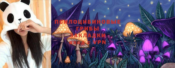 индика Строитель
