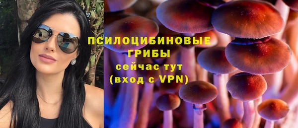 индика Строитель